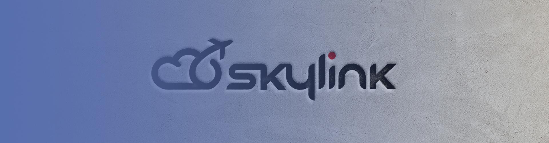 Логотип Sky link